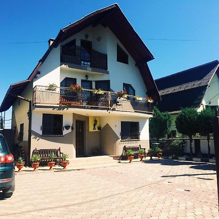 Casa Alberta Ocna Sugatag Bagian luar foto