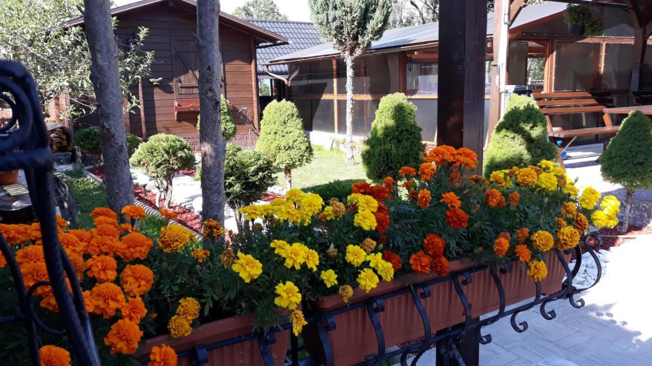 Casa Alberta Ocna Sugatag Bagian luar foto