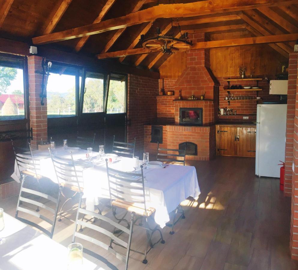 Casa Alberta Ocna Sugatag Bagian luar foto